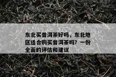 东北买普洱茶好吗，东北地区适合购买普洱茶吗？一份全面的评估和建议