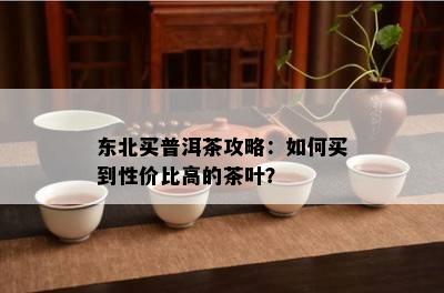 东北买普洱茶攻略：怎样买到性价比高的茶叶？