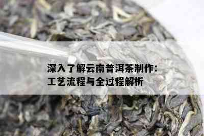 深入了解云南普洱茶制作：工艺流程与全过程解析