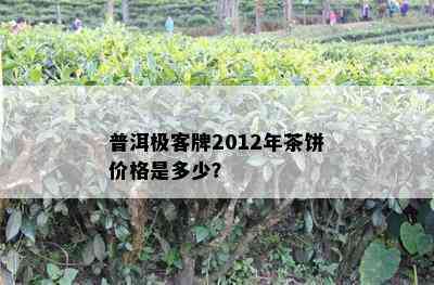 普洱极客牌2012年茶饼价格是多少？