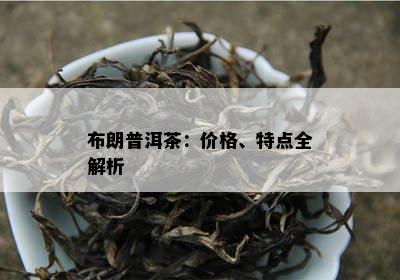 布朗普洱茶：价格、特点全解析