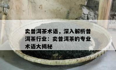 卖普洱茶术语，深入解析普洱茶行业：卖普洱茶的专业术语大揭秘