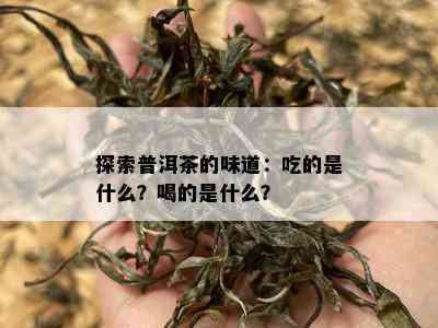 探索普洱茶的味道：吃的是什么？喝的是什么？