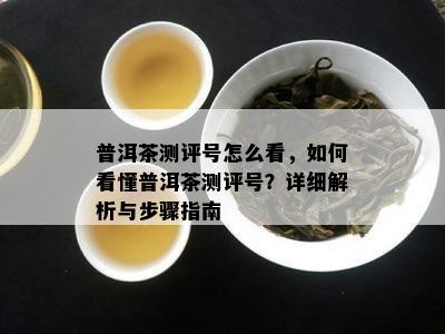 普洱茶测评号怎么看，如何看懂普洱茶测评号？详细解析与步骤指南