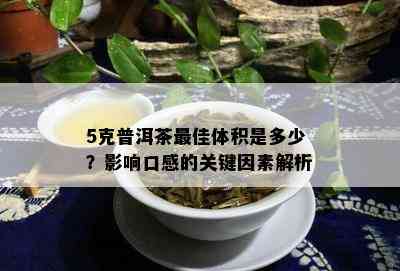 5克普洱茶更佳体积是多少？作用口感的关键因素解析