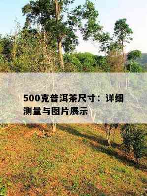 500克普洱茶尺寸：详细测量与图片展示