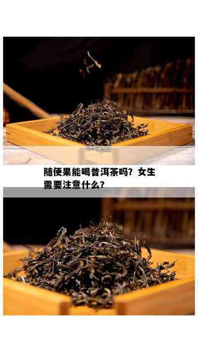 随便果能喝普洱茶吗？女生需要留意什么？