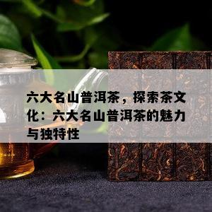 六大名山普洱茶，探索茶文化：六大名山普洱茶的魅力与特别性