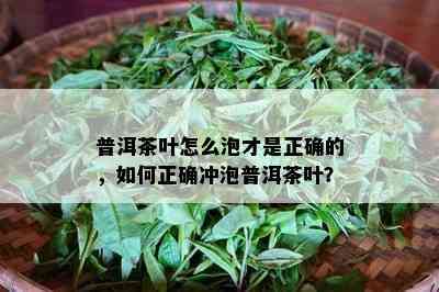 普洱茶叶怎么泡才是正确的，怎样正确冲泡普洱茶叶？