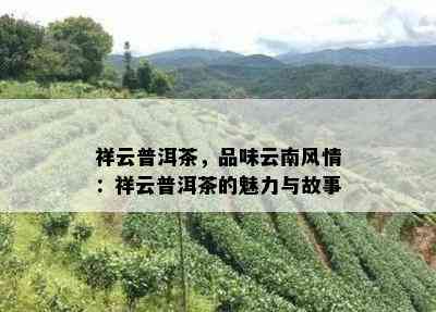 祥云普洱茶，品味云南风情：祥云普洱茶的魅力与故事