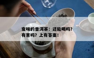 变味的普洱茶：还能喝吗？有害吗？上有答案！