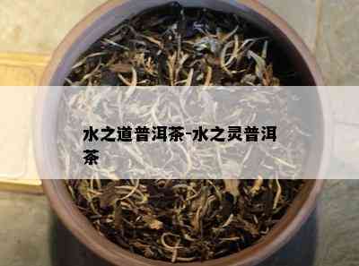 水之道普洱茶-水之灵普洱茶