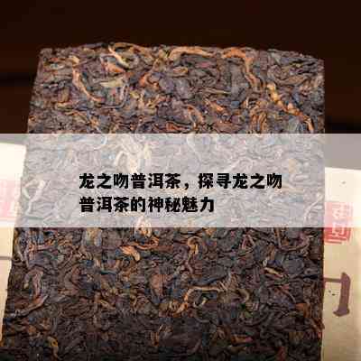 龙之吻普洱茶，探寻龙之吻普洱茶的神秘魅力