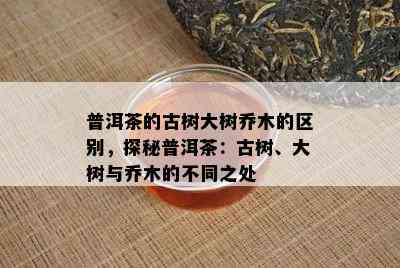 普洱茶的古树大树乔木的区别，探秘普洱茶：古树、大树与乔木的不同之处