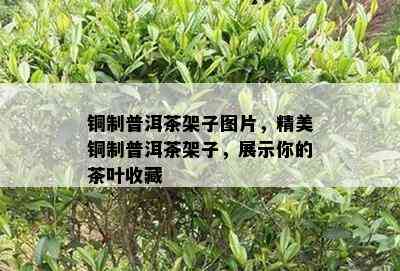 铜制普洱茶架子图片，精美铜制普洱茶架子，展示你的茶叶收藏