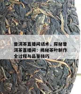 普洱茶直播间话术，探秘普洱茶直播间：揭秘茶叶制作全过程与品鉴技巧