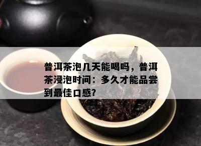 普洱茶泡几天能喝吗，普洱茶浸泡时间：多久才能品尝到更佳口感？