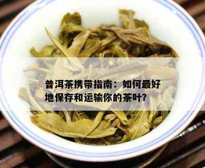 普洱茶携带指南：怎样更好地保存和运输你的茶叶？