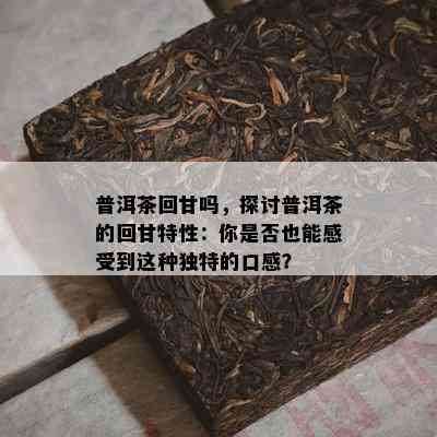 普洱茶回甘吗，探讨普洱茶的回甘特性：你是不是也能感受到这类特别的口感？