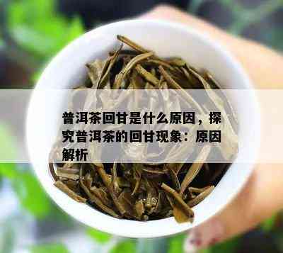 普洱茶回甘是什么起因，探究普洱茶的回甘现象：起因解析