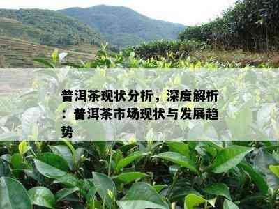 普洱茶现状分析，深度解析：普洱茶市场现状与发展趋势