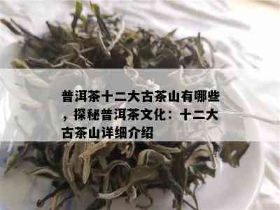 普洱茶十二大古茶山有哪些，探秘普洱茶文化：十二大古茶山详细介绍