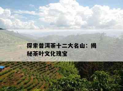 探索普洱茶十二大名山：揭秘茶叶文化瑰宝