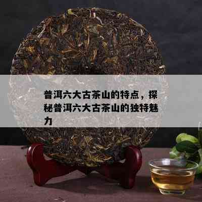 普洱六大古茶山的特点，探秘普洱六大古茶山的特别魅力