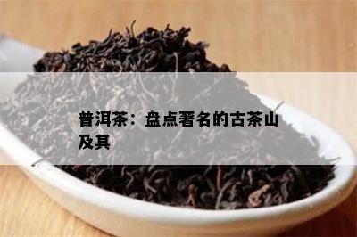 普洱茶：盘点著名的古茶山及其