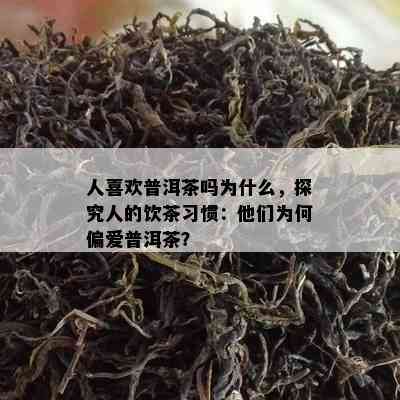 人喜欢普洱茶吗为什么，探究人的饮茶习惯：他们为何偏爱普洱茶？