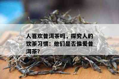 人喜欢普洱茶吗，探究人的饮茶习惯：他们是不是偏爱普洱茶？