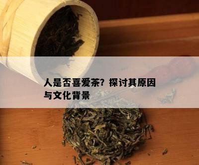 人是不是喜爱茶？探讨其起因与文化背景