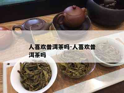 人喜欢普洱茶吗-人喜欢普洱茶吗