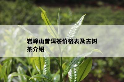 岩峰山普洱茶价格表及古树茶介绍