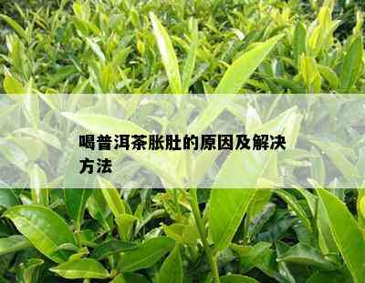 喝普洱茶胀肚的起因及解决方法