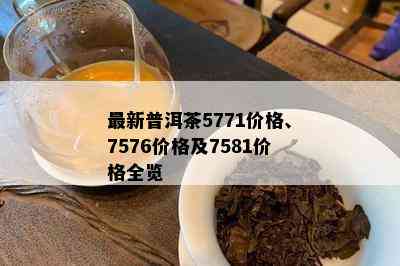 最新普洱茶5771价格、7576价格及7581价格全览