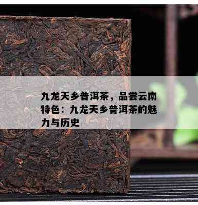 九龙天乡普洱茶，品尝云南特色：九龙天乡普洱茶的魅力与历史