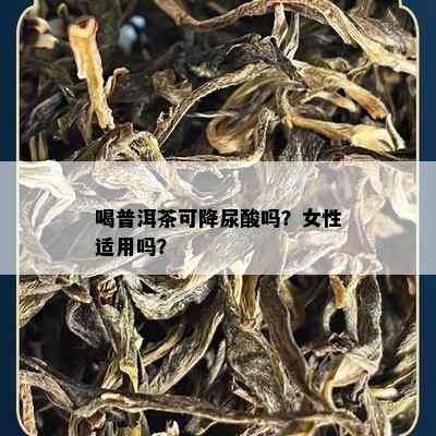 喝普洱茶可降尿酸吗？女性适用吗？