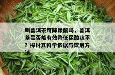 喝普洱茶可降尿酸吗，普洱茶是不是能有效减少尿酸水平？探讨其科学依据与饮用方法