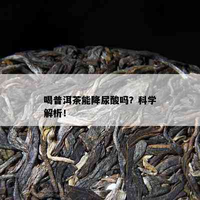 喝普洱茶能降尿酸吗？科学解析！