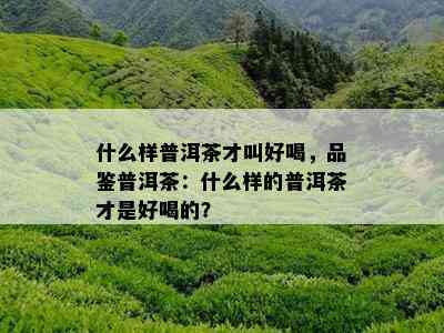 什么样普洱茶才叫好喝，品鉴普洱茶：什么样的普洱茶才是好喝的？