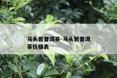 马头岩普洱茶-马头岩普洱茶价格表