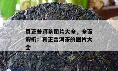 真正普洱茶图片大全，全面解析：真正普洱茶的图片大全