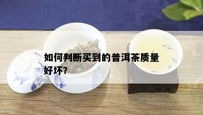 如何判断买到的普洱茶质量好坏？