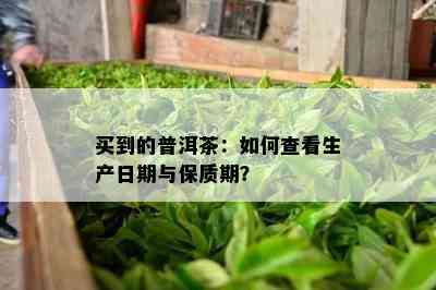 买到的普洱茶：怎样查看生产日期与保质期？