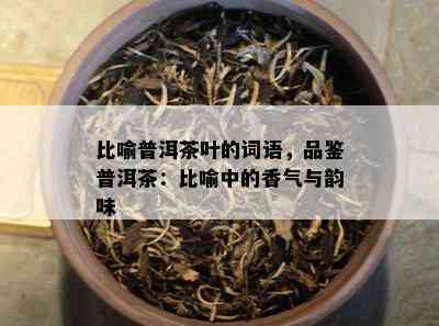 比喻普洱茶叶的词语，品鉴普洱茶：比喻中的香气与韵味