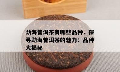 勐海普洱茶有哪些品种，探寻勐海普洱茶的魅力：品种大揭秘