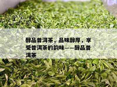 醇品普洱茶，品味醇厚，享受普洱茶的韵味——醇品普洱茶