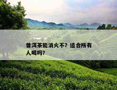 普洱茶能消火不？适合所有人喝吗？