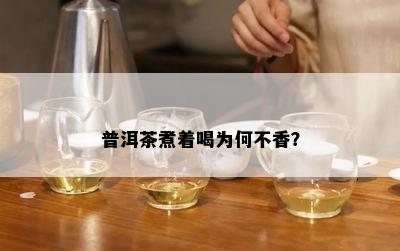 普洱茶煮着喝为何不香？